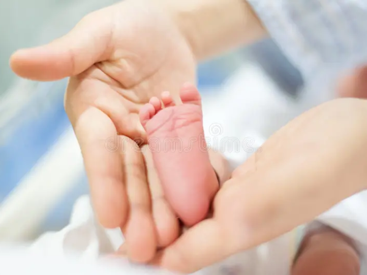 image_6-4.webp